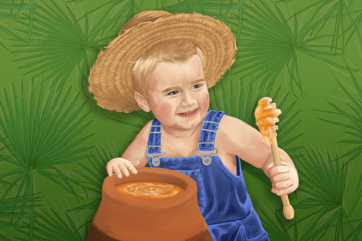 Read more about the article Florida Boy Honey